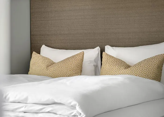 Daire Vander - Pedersgata *